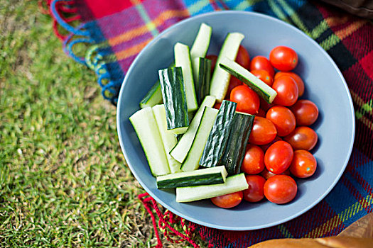 蔬菜,碗,野餐毯,俯拍