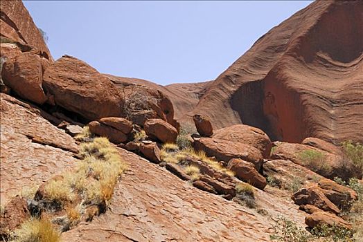 乌卢鲁巨石,艾尔斯巨石,特写,卡塔曲塔国家公园,北领地州,澳大利亚