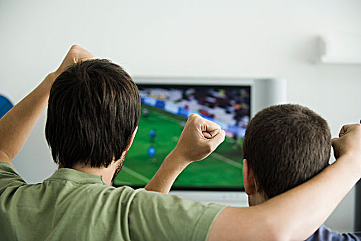 两个男人,看,运动,电视,拳头,空中,后视图