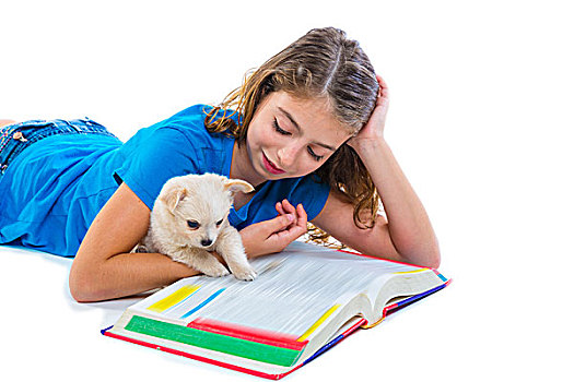 儿童,女孩,小狗,吉娃娃,宠物,狗,家庭作业,躺着,白色背景