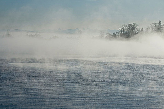 凉,早,冬天,雾,弗雷泽河,港口,加拿大