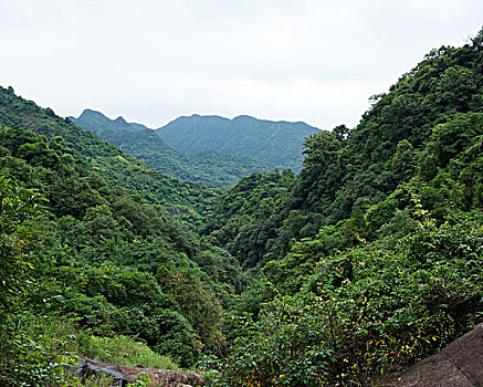 白水寨