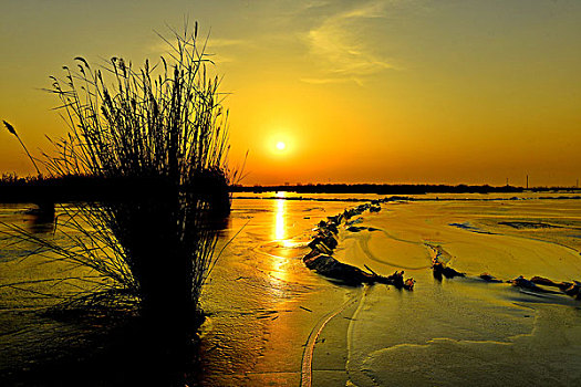 宁夏阅海公园