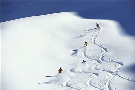 成年,落基山脉,加拿大,群体,冬天,雪