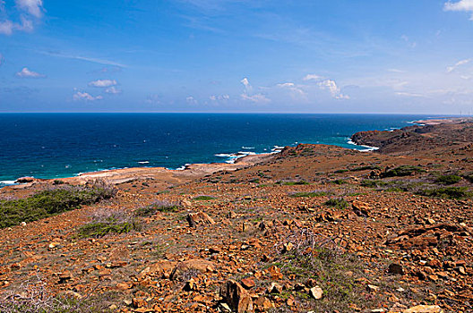 景色,海岸,国家公园,阿鲁巴,小安的列斯群岛,加勒比