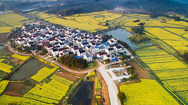 江苏南京,航拍桠溪,国际慢城,万亩油菜花海