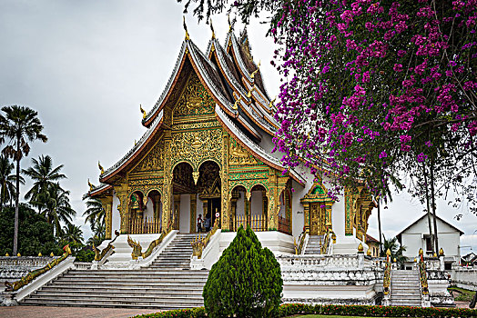 建筑,皇家,庙宇,山楂,琅勃拉邦,老挝