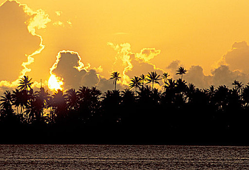 南太平洋,法属玻利尼西亚,波拉波拉岛,棕榈树,日落