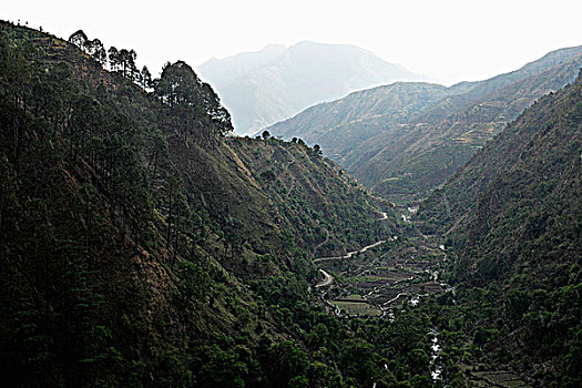 山谷,山,喜玛拉雅,山麓,印度