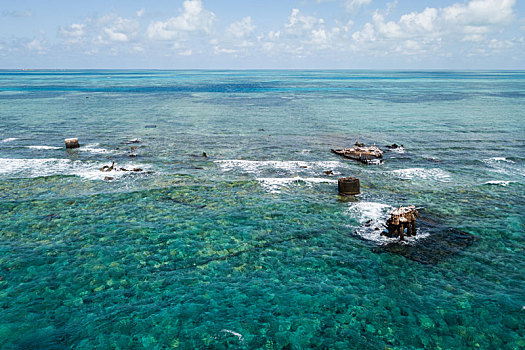 礁石,生活,老,坎佩切,墨西哥