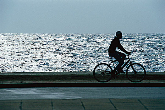 男人,骑自行车,水边,公园