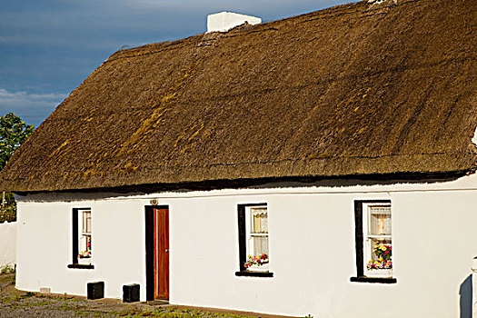 传统,屋舍,红色,门,靠近,多纳格,爱尔兰
