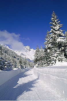 雪,犁地,道路