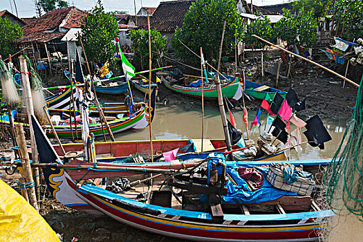 鱼,船,渔村,东方,爪哇,印度尼西亚,大幅,尺寸