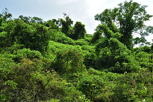 河北省石家庄平山县藤龙山风景区