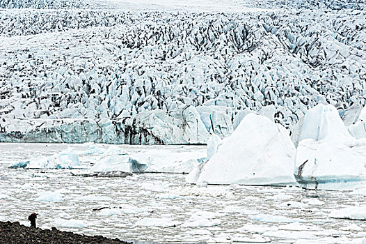 浮冰,冰山,冰河,泻湖,男人,拍照,瓦特纳冰川,冰岛,欧洲