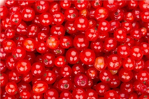 红浆果,背景