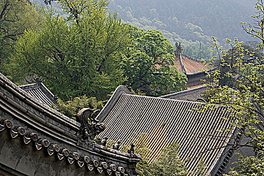 砖瓦,屋顶,潭柘寺,庙宇,北京,中国