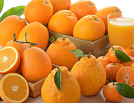 橘子水果组合