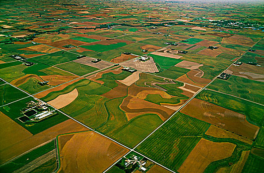 农业,航拍,农场建筑,种植,地点,靠近,爱荷华,美国