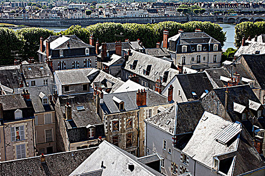 法国,卢瓦尔谢尔省,布卢瓦,屋顶