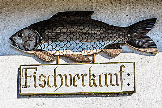 标识,鱼,销售,鲤鱼,树林,区域,下奥地利州,奥地利