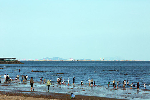 山东省日照市,游客赶海拾贝,踏浪嬉水,桃花岛成国庆节热门打卡地