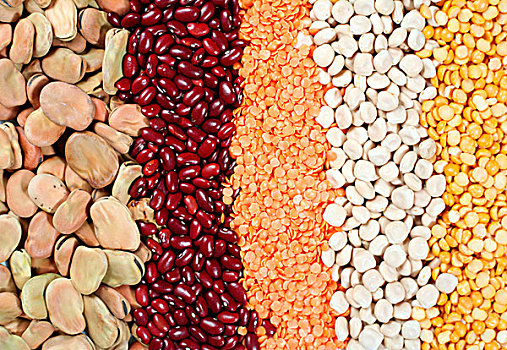多样,干燥,豆类,种子,蚕豆,小,红色,豆,热水瓶,扁豆