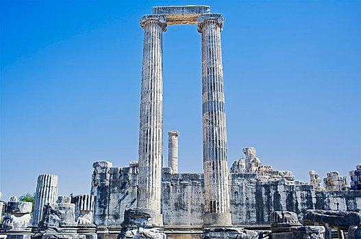 柱子,寺庙,阿波罗,狄迪玛,安纳托利亚,土耳其,亚洲