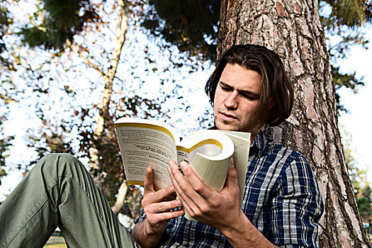 仰视,男青年,坐,树,读,书本