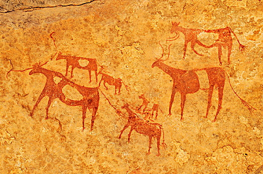 涂绘,母牛,新石器时代,岩石艺术,锡,阿德拉尔,阿尔及利亚,撒哈拉沙漠,北非