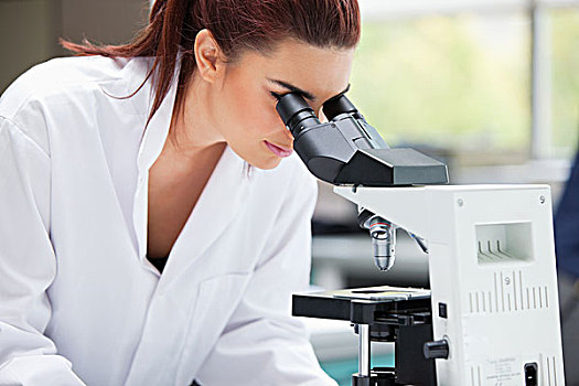 科学家,看,显微镜