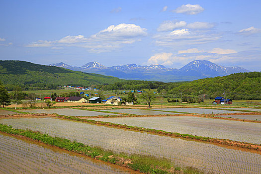 稻田,山脉