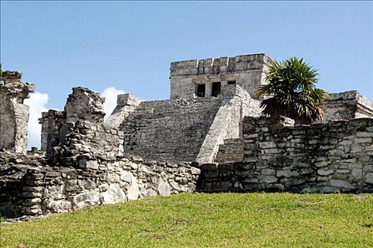 玛雅,庙宇,墨西哥,中美洲