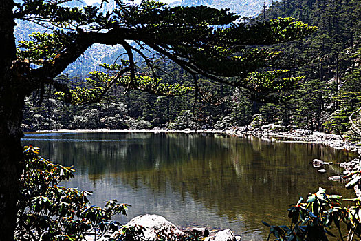 螺髻山风光