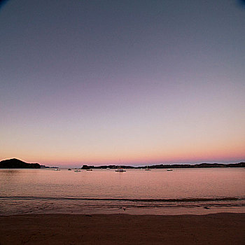 日落,上方,湾,新西兰
