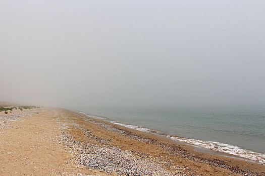雾,海滩