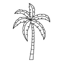 棕榈树花简笔画图片图片