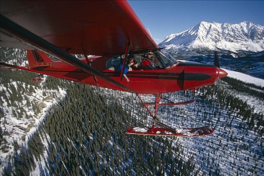 幼兽,上方,阿拉斯加山脉,乘客,飞行员