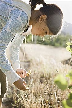 女孩,摘花,荒野