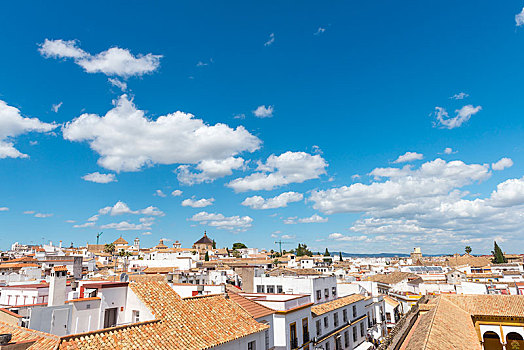 风景,上方,屋顶,云,天空,科多巴,安达卢西亚,西班牙,欧洲