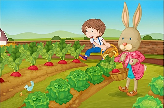 兔子,男孩,花园