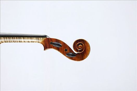 卷,小提琴