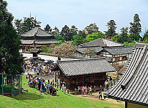 庙宇,奈良,日本