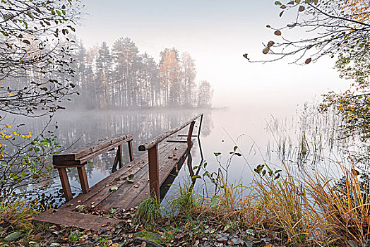 小,木质,码头,安静,湖,秋天,雾状,早晨