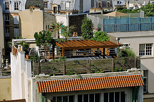 法国,巴黎,屋顶,平台