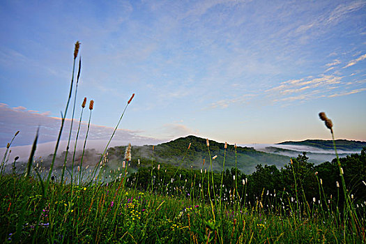 草原,牧场,绿草,旷野,云雾,云海