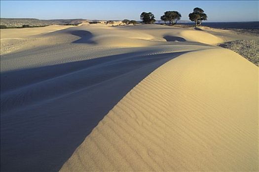 马达加斯加,沙丘