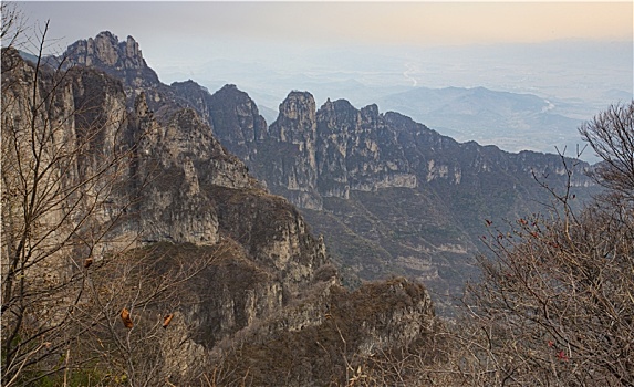 王莽岭风光