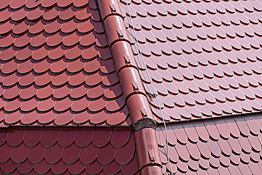 砖瓦,屋顶,特写,斯图加特,巴登符腾堡,德国,欧洲